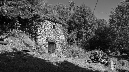 DSC_3387.jpg